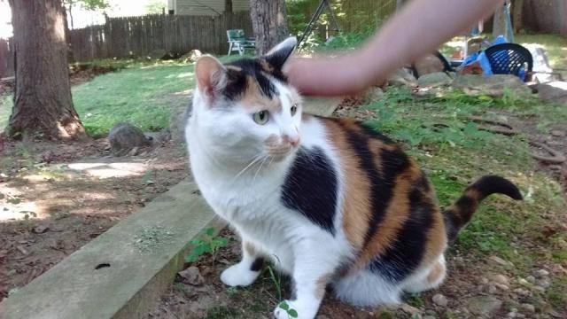 Calie getting some love