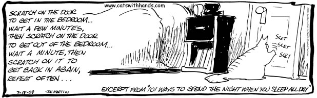 cat leaving the bedroom