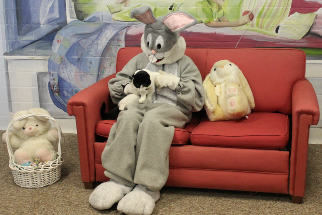 black and white cat with Easter Bunny