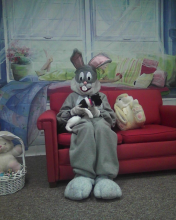 black and white cat with Easter Bunny