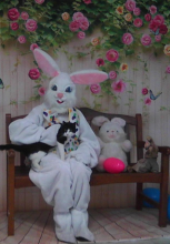 black and white cat on Easter Bunny's lap