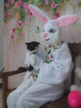 black and white cat on Easter Bunny's lap