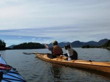 cat in kayak