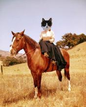 Schwarzie Prettycat riding sidesaddle