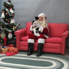 cat with Santa Paws