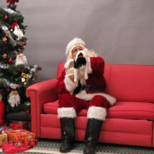 cat with Santa Paws