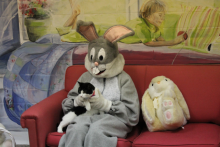 black and white cat with Easter Bunny